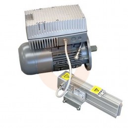 Hoist motor with frequency...